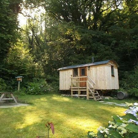 'Morris' The Shepherd'S Hut And Woodland Hot Tub Experience Carmarthen Exterior photo