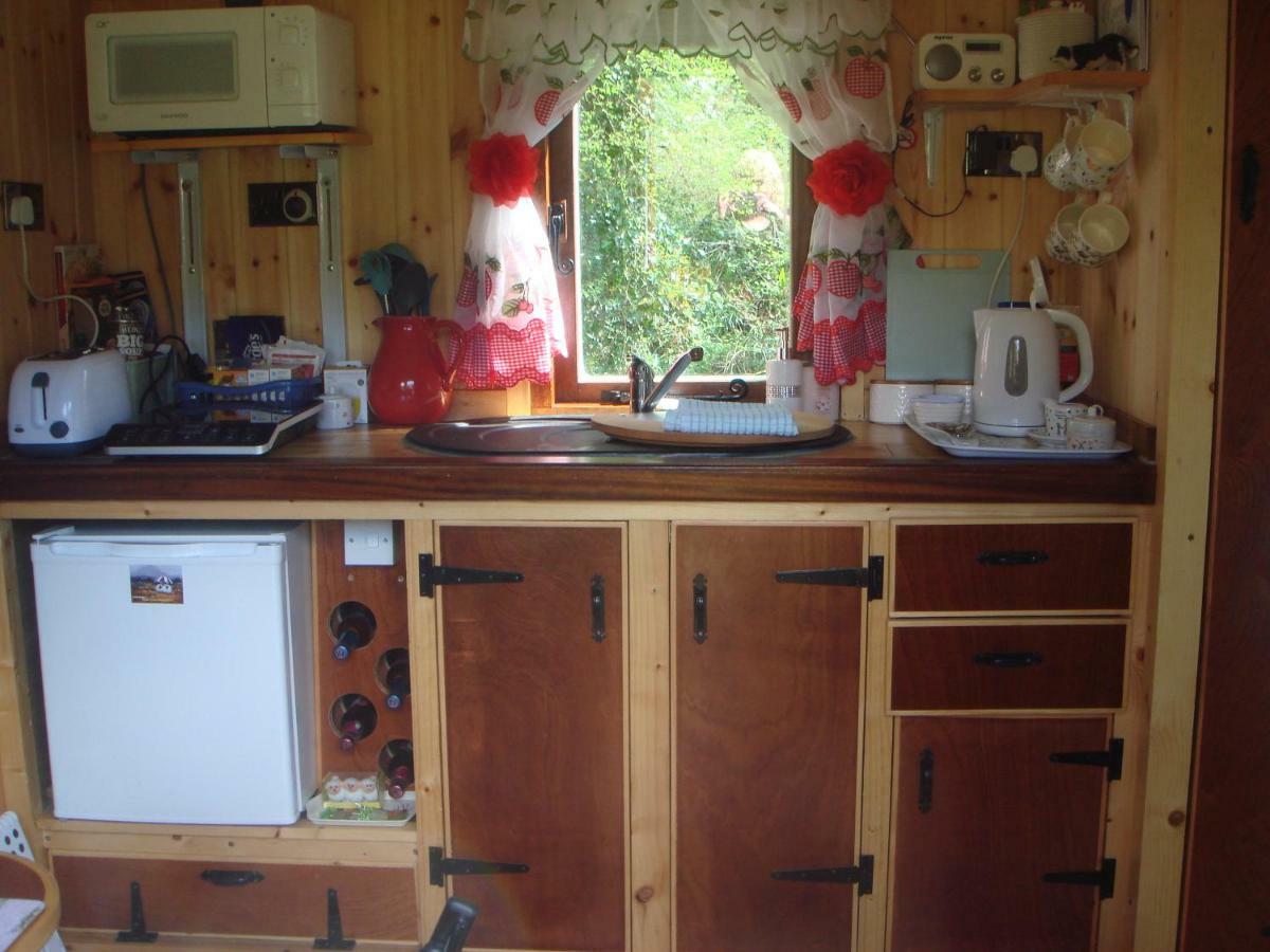 'Morris' The Shepherd'S Hut And Woodland Hot Tub Experience Carmarthen Exterior photo